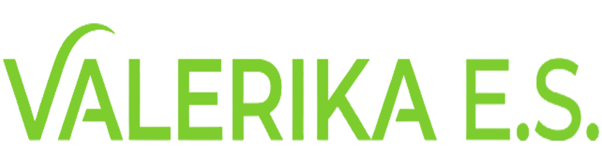 VALERIKA E.S. Logo