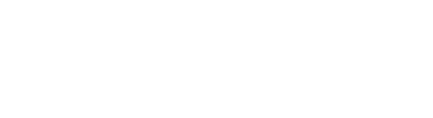 VALERIKA E.S.